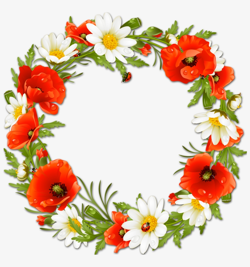 0 9648a C98c9a24 Orig - Khung Hinh Hoa Tron, transparent png download