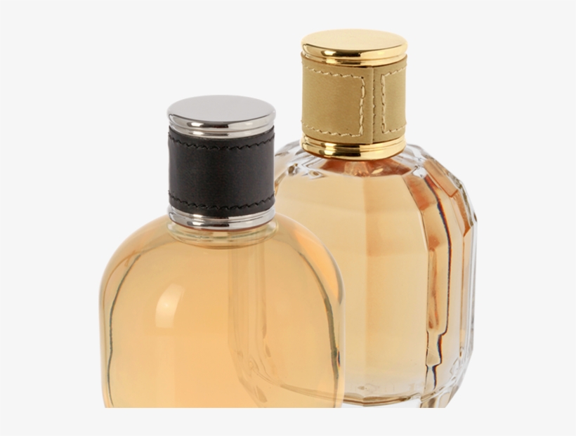 Corset - Caps - Perfume, transparent png download