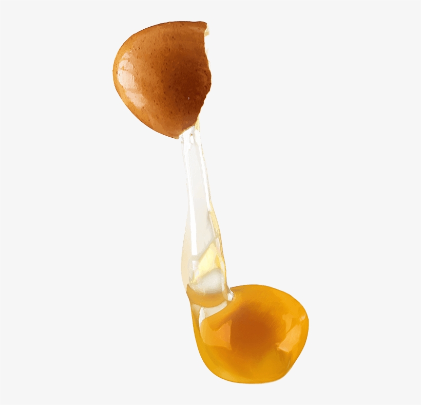 Pe Suspended Egg 1 - Egg, transparent png download