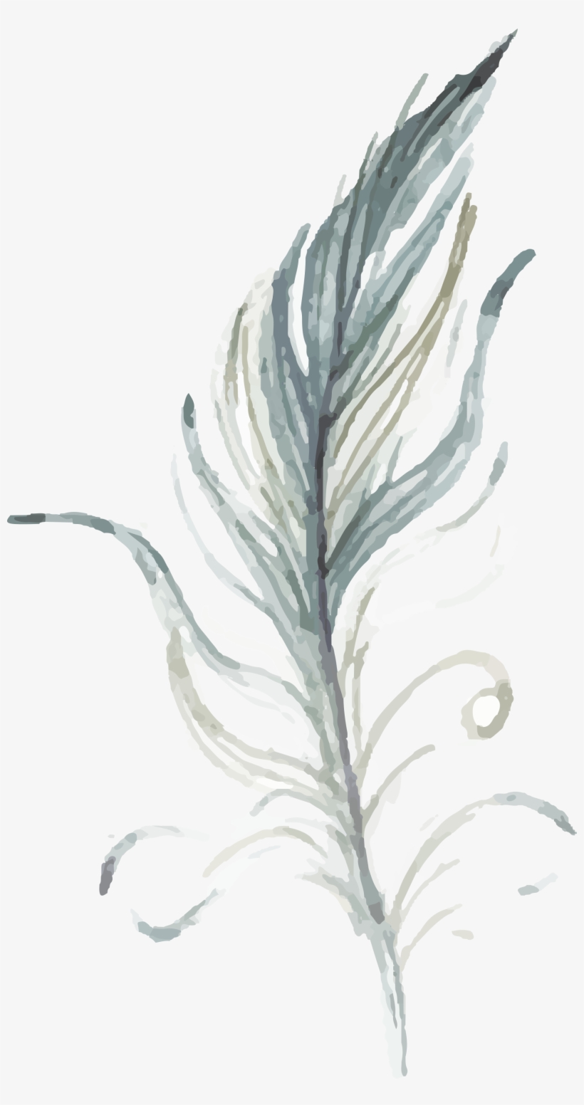 Feather-5 1,774×3,272 Pixels Wall Pictures, Picture - Zakładka Duża (15) - Lecz Ci Co Zaufali (szz/015), transparent png download