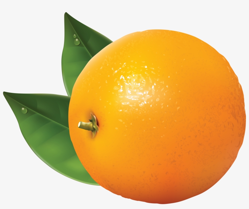Fruit Orange Cliparts - Orange Fruits Good Night, transparent png download
