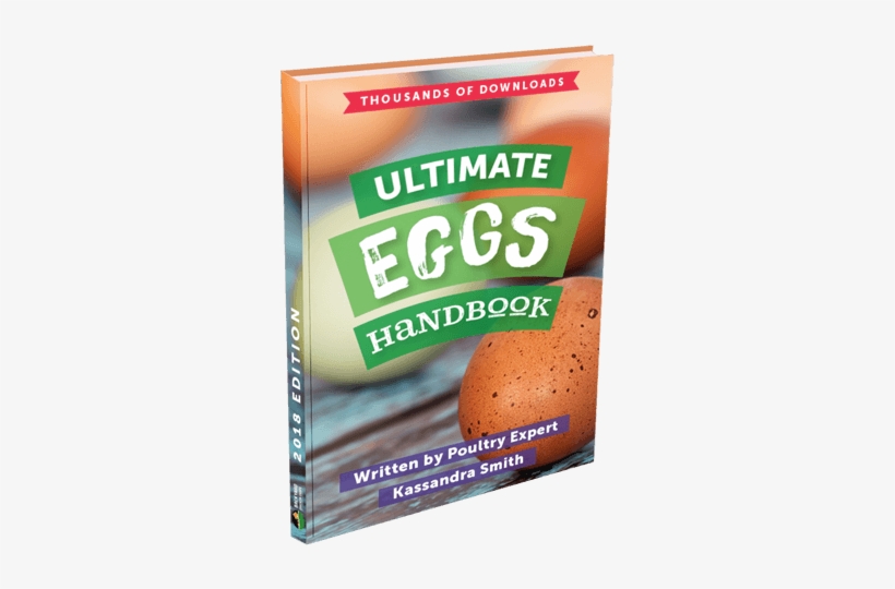 Download Ebook - Crisp Bread, transparent png download