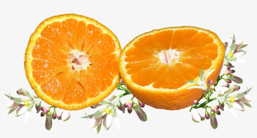 Fruit, Orange, Blossom, Citrus, Food, Vitamin, Organic - Bitter Orange Tangerine Png, transparent png download