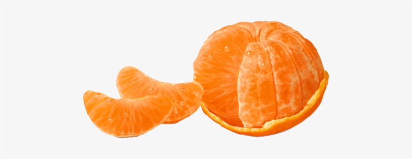 Orange Food Polyvore Moodboard Filler Fruit - Moodboard Fillers, transparent png download