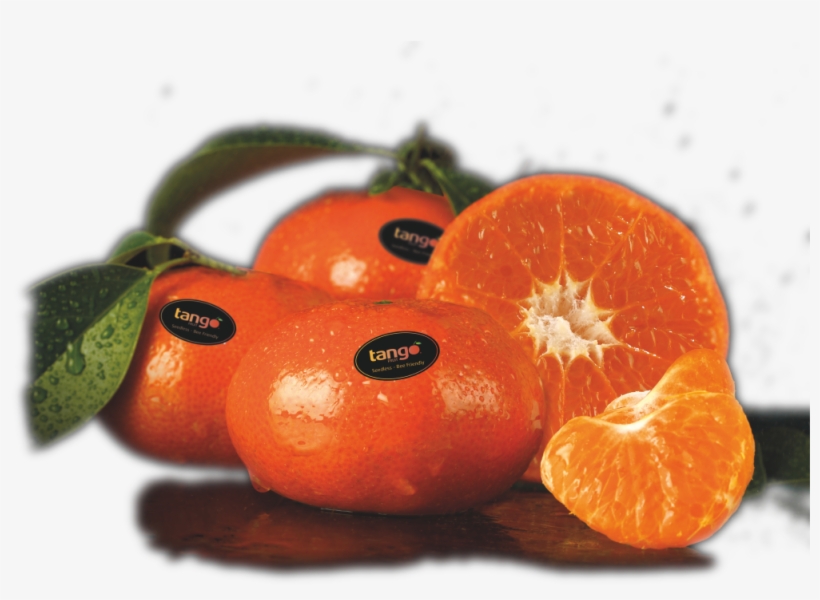 G2880 - Mandarina Tango, transparent png download