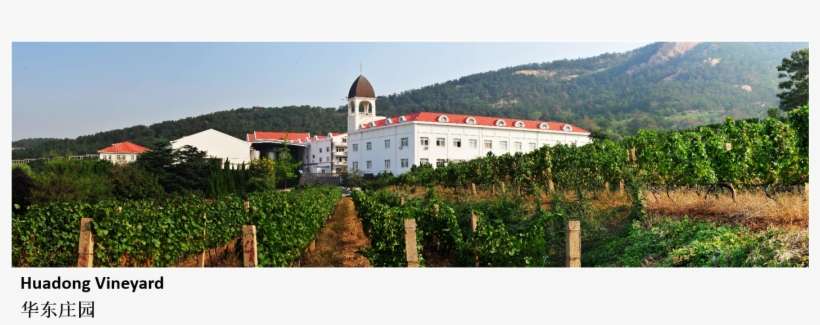 D2 - Manor House, transparent png download