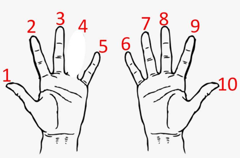 Fingers Name In Hindi, transparent png download