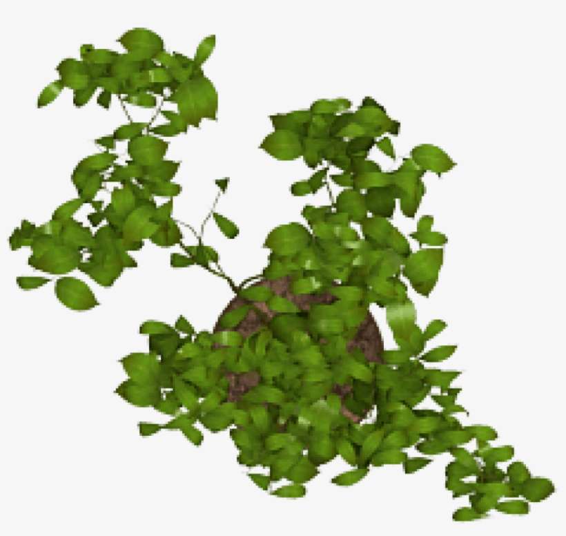 Download Plant Png Images Background - Toy, transparent png download