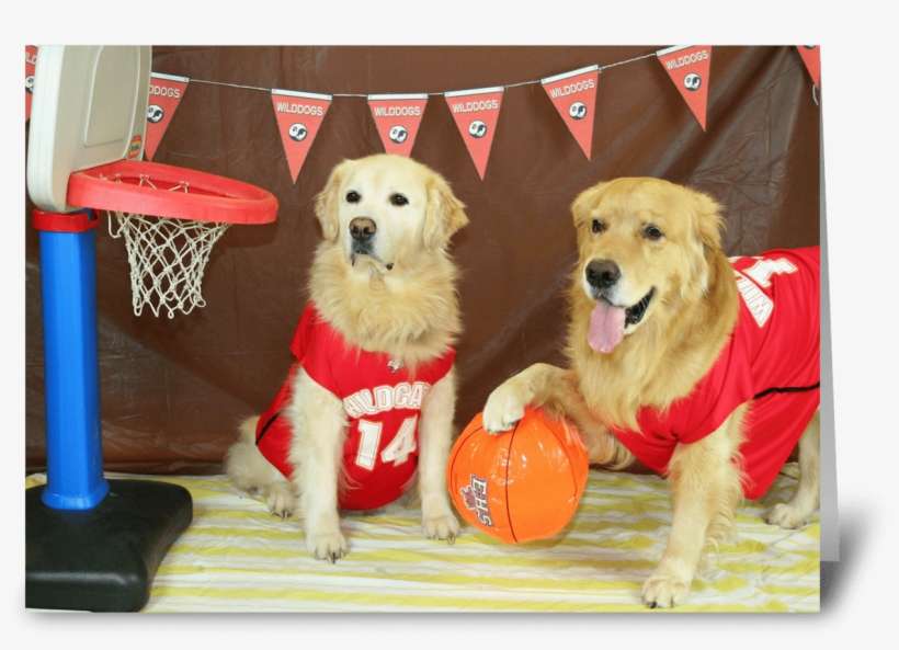A Slam Dunk Birthday - Dog Catches Something, transparent png download