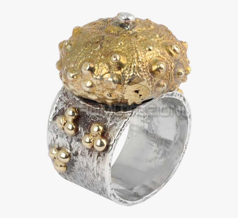 Sea Urchin Silver Ring With Brass Element Rings - Pre-engagement Ring, transparent png download