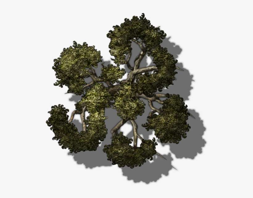 Qegw1 Small Tree 8 - Twig, transparent png download