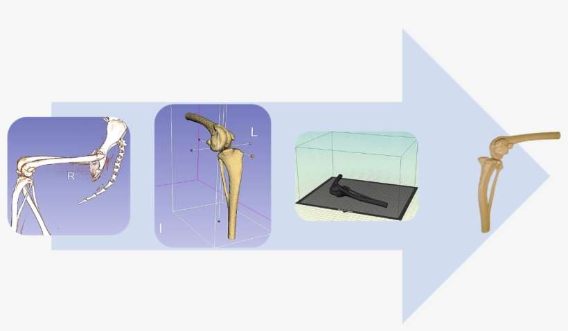 Figure - Blue Jay, transparent png download