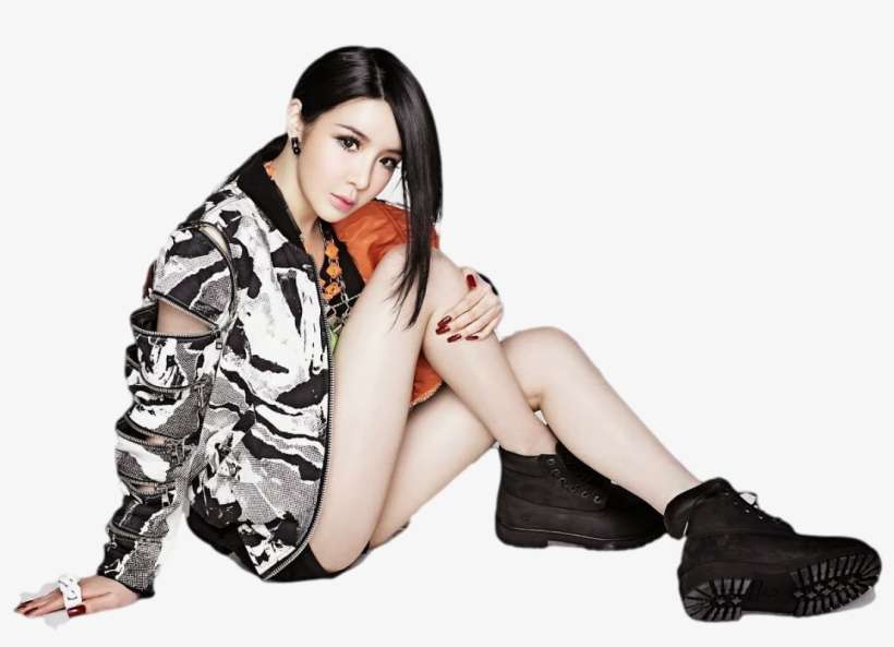 Minzy Fue Descubierta Por Yg Entertainment En El 2005 - Park Bom Meme, transparent png download