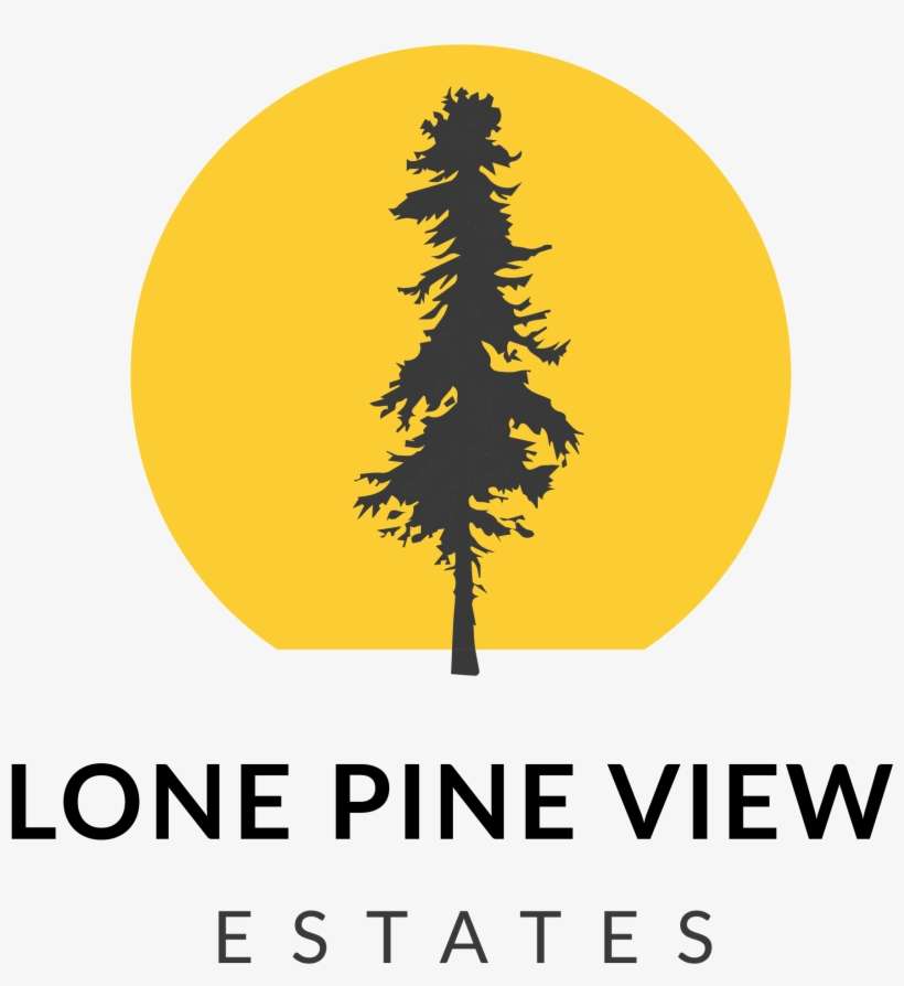 White Pine, transparent png download