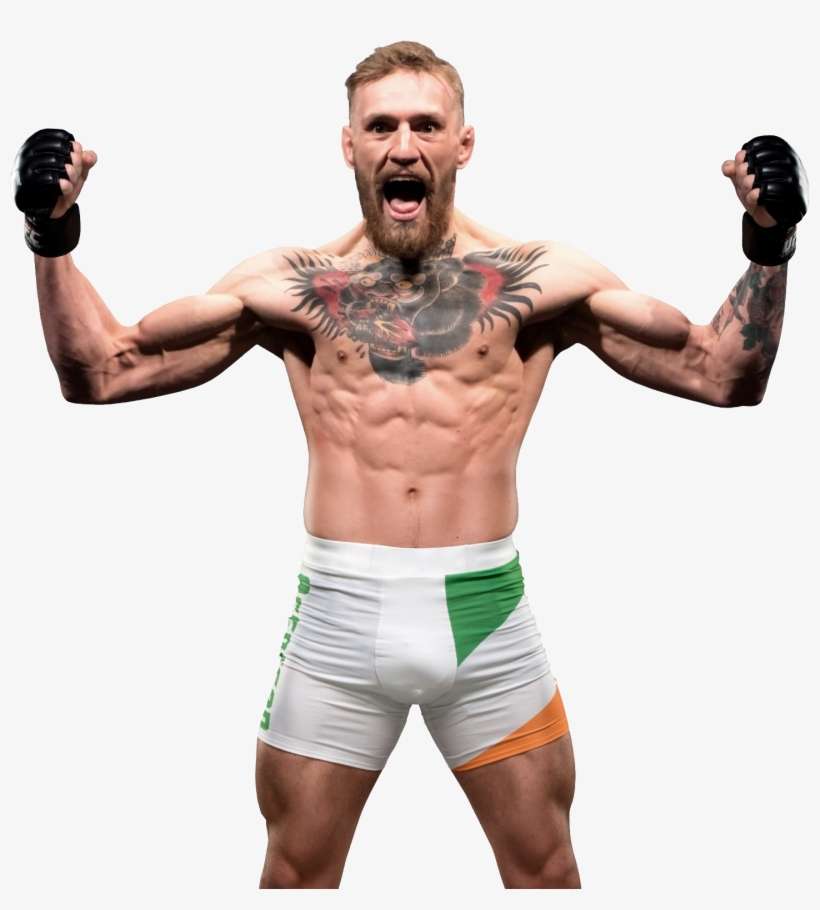 Conor Mcgregor Sticker, transparent png download