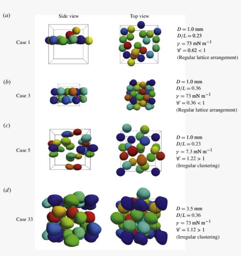 Snapshots Of Bubbles Showing Typical Clustering Morphologies - Circle, transparent png download