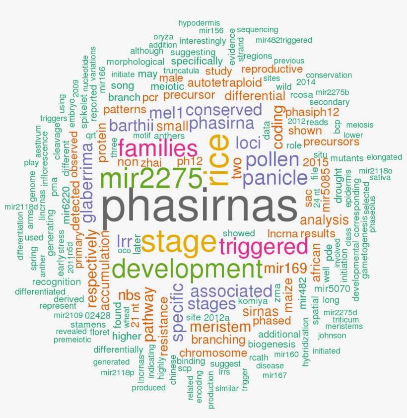 Sort By - Hsa Let 7a 3p 5p 3 Utr, transparent png download