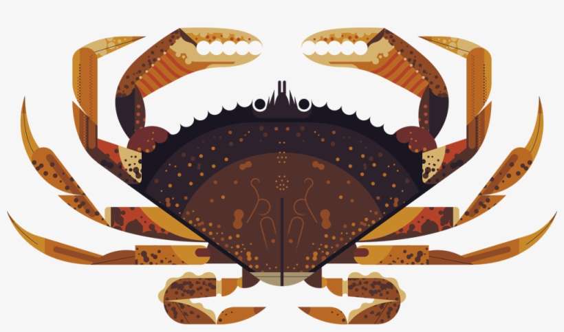Dungeness Owen Davey Illustration I Love Crabs - Owen Davey Ghost Cat, transparent png download