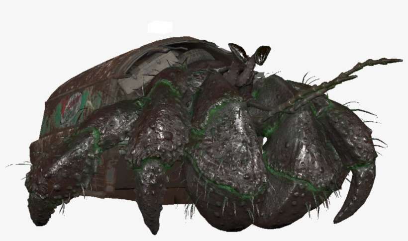 Glowing Hermit Crab - Dung Beetle, transparent png download