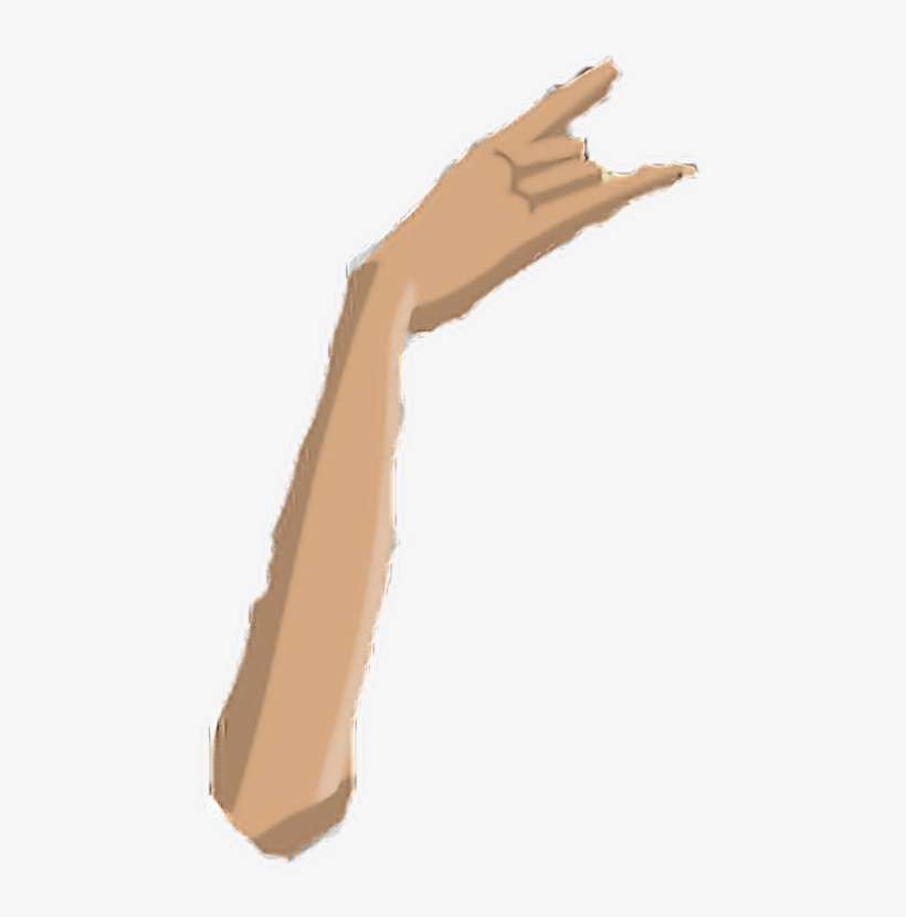 504 X 1012 2 - Wood, transparent png download