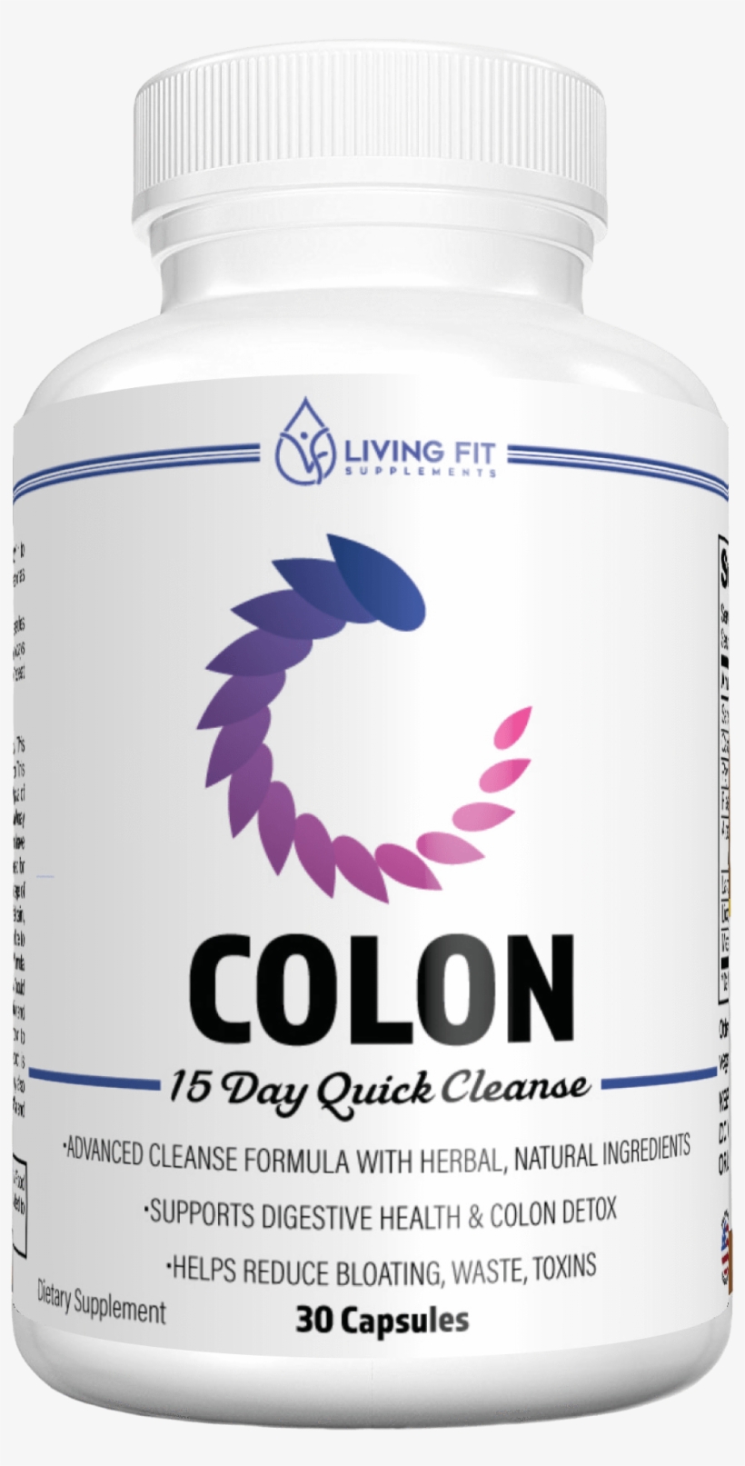 Skunk, transparent png download