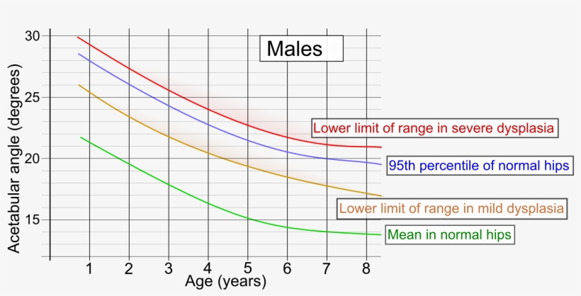 Acetabular Index By Age In Males - Diagram, transparent png download
