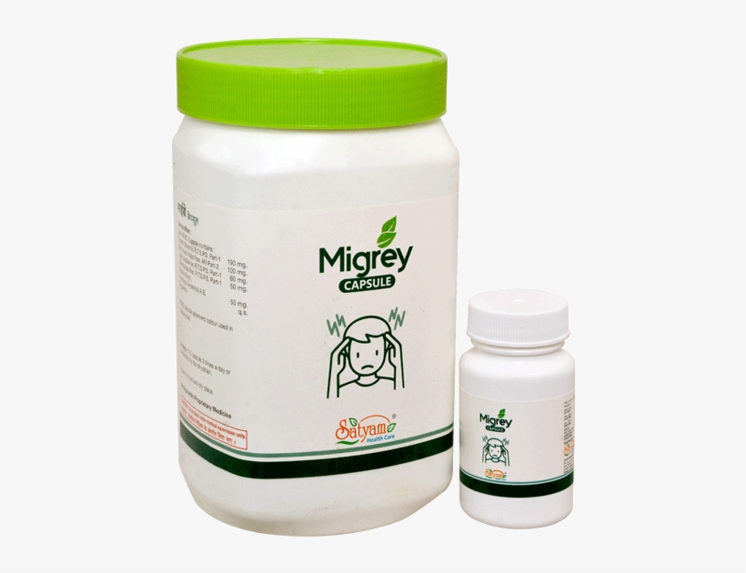 Insect, transparent png download