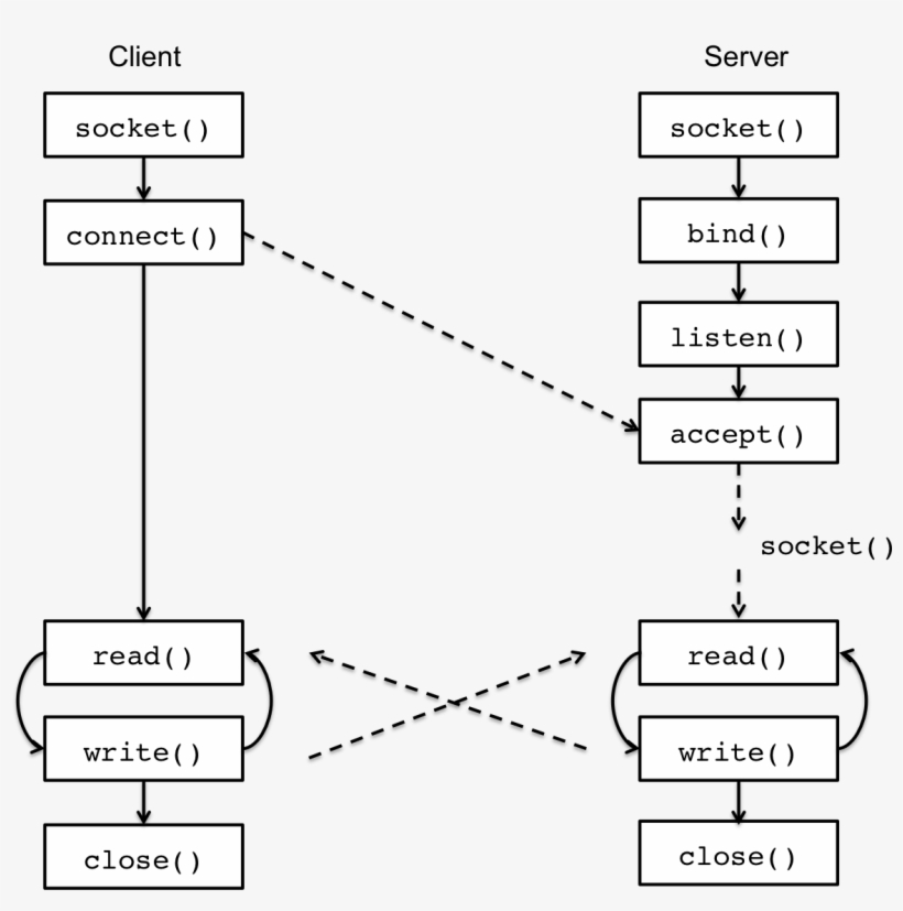Lec23 Client Server Socket - Diagram PNG Image | Transparent PNG Free ...