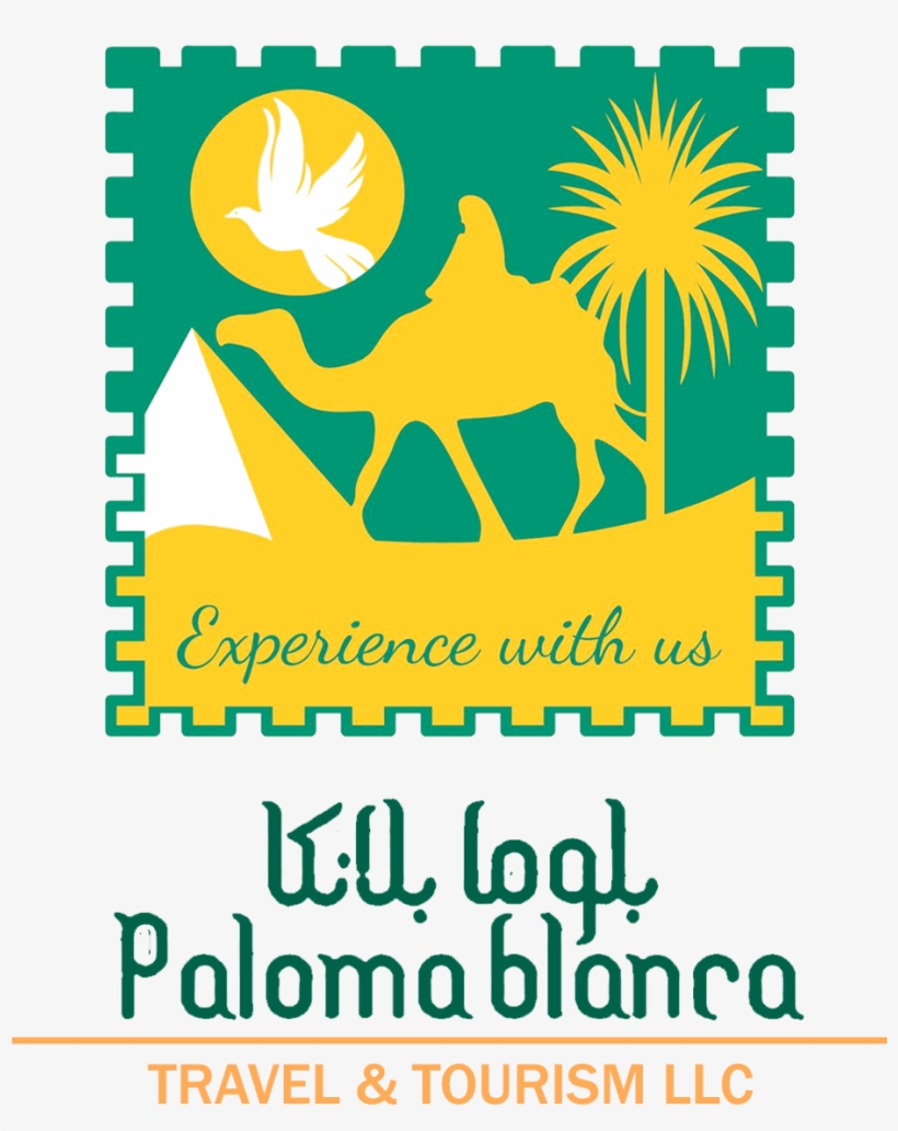 Partner Paloma Blanca - Illustration, transparent png download