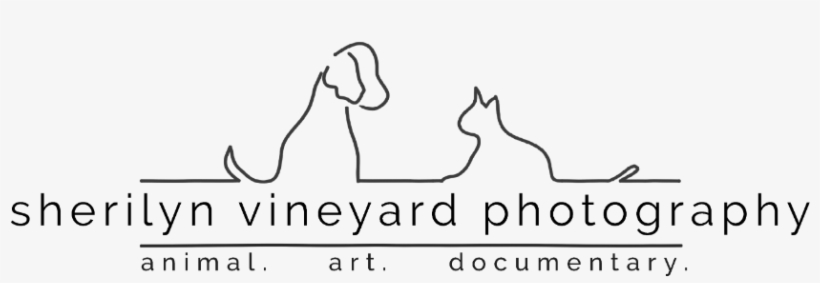 Logo - Line Art, transparent png download