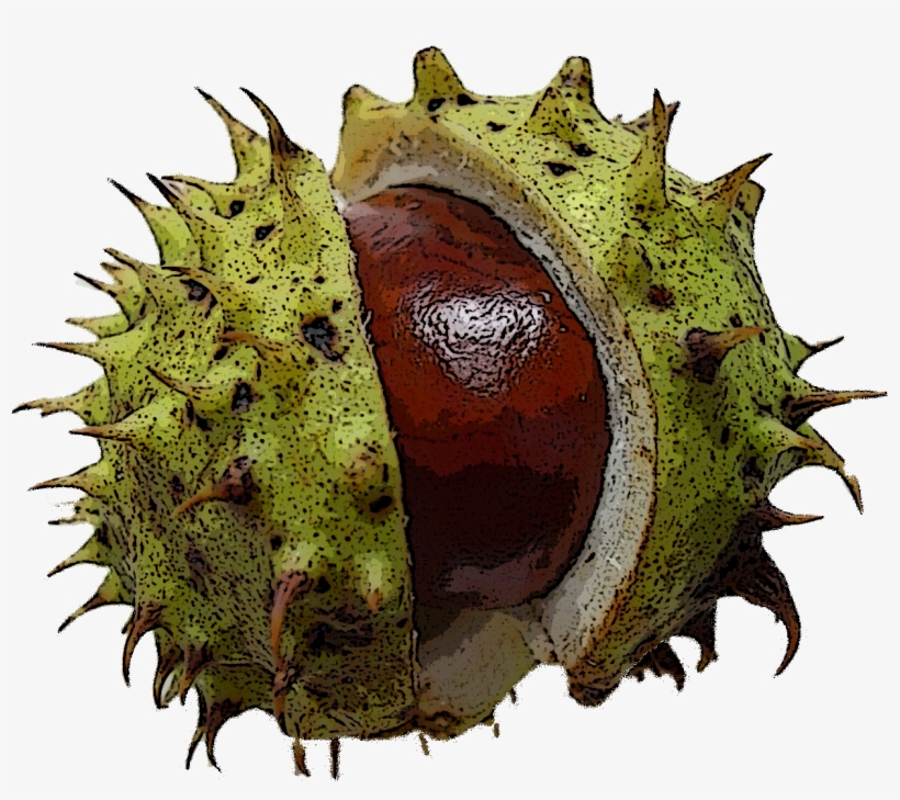 'cup Of Tea Tales' Fun And Games At Harehills C - Chestnut, transparent png download