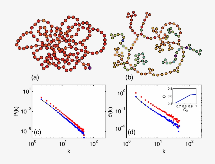 Representative Pictures Of The Giant Component Of - Diagram, transparent png download