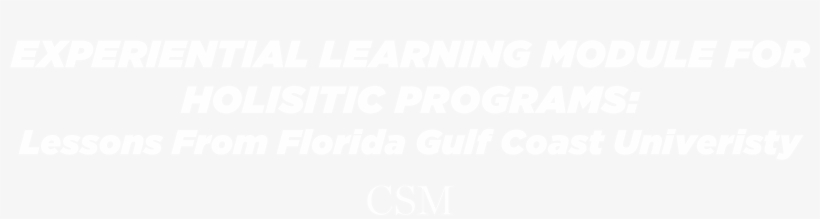 Fgcu Webinar Lp Front1 - Poster, transparent png download