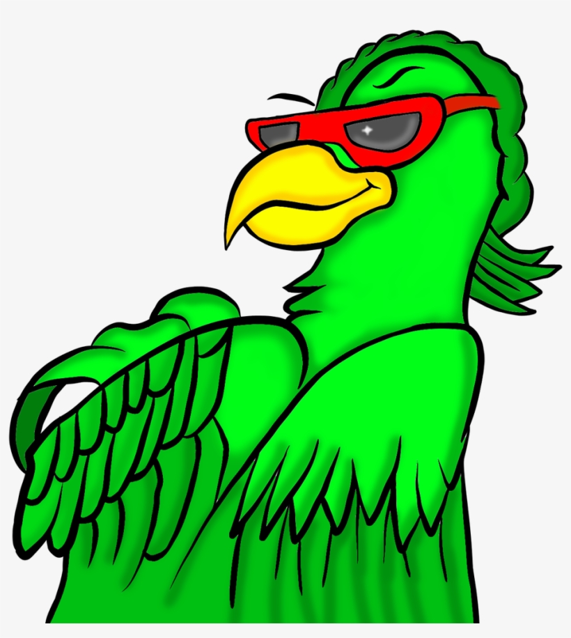 I Have The First And The Only Furry Quetzal Bird In - Parrot, transparent png download
