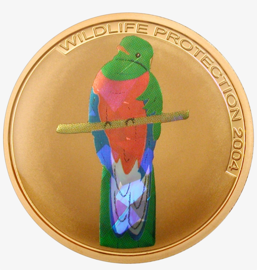 Quetzal - Budgie, transparent png download