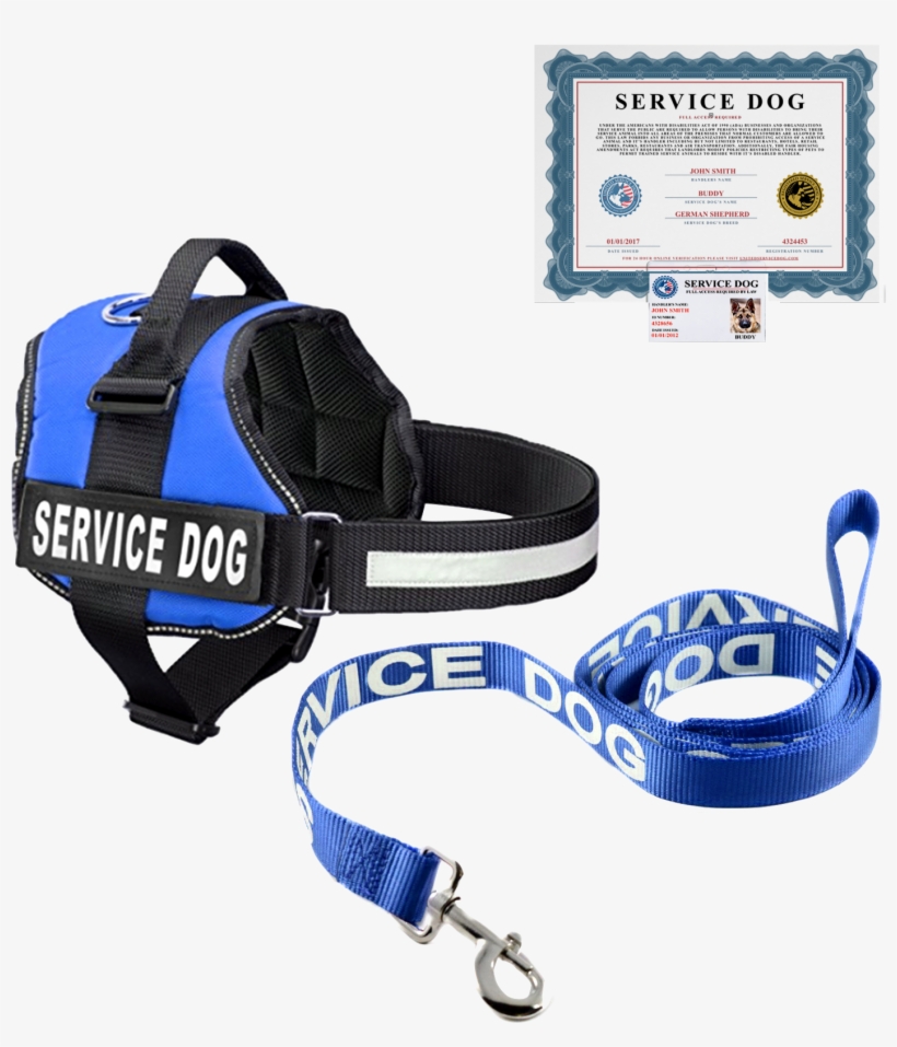 Price - $139 - 99 $99 - 99 - The Basic Service Dog - Purple Service Dog Vest With Leash, transparent png download