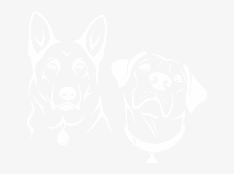 Our Organization Breeds German Shepherds, Golden Retrievers - German Shepherd, transparent png download