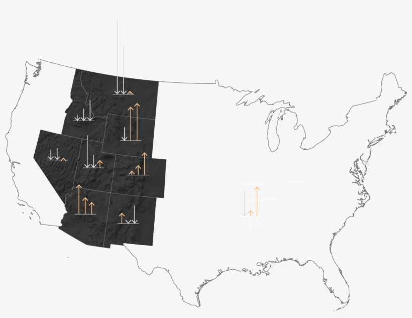 Montana's Forests Have Historically Been Large Carbon - Thick Billed Parrot In Arizona Range, transparent png download