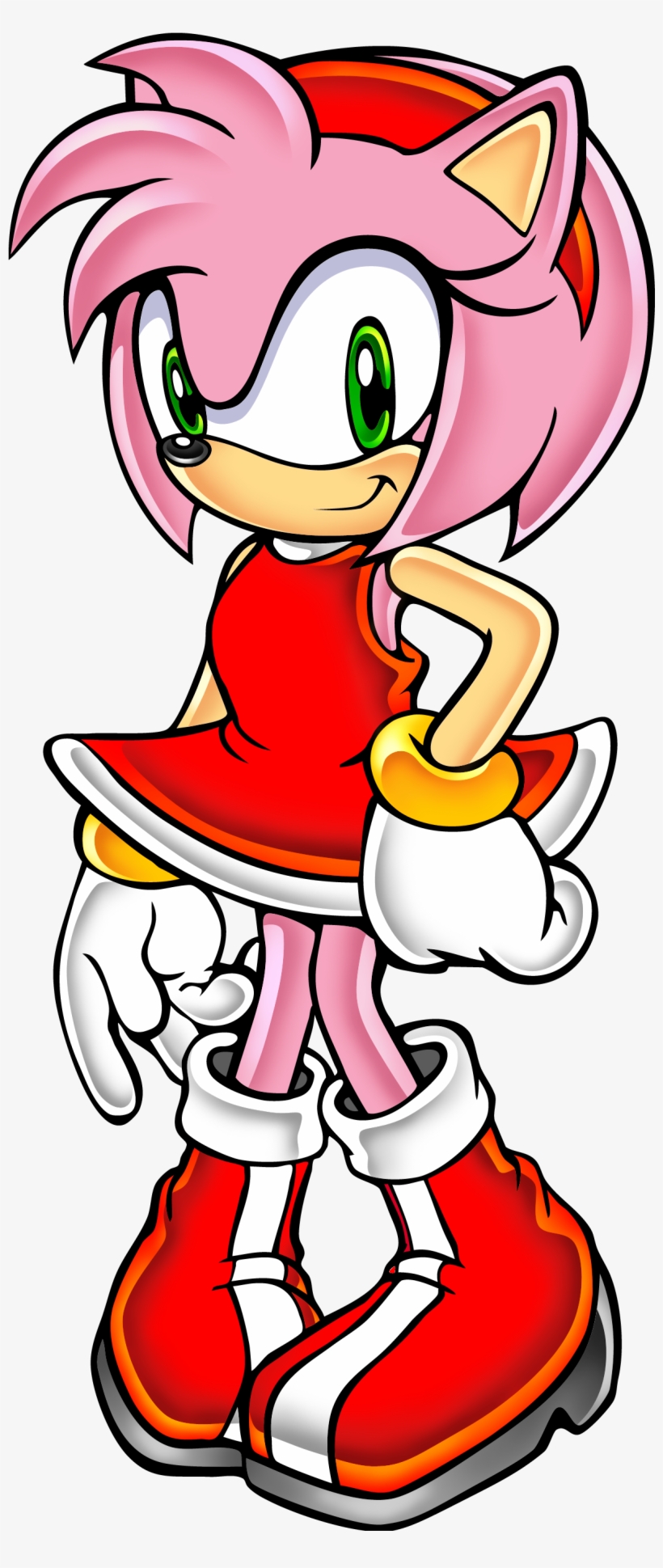 Sa1 A D2 - Ramona Flowers Vs Amy Rose, transparent png download