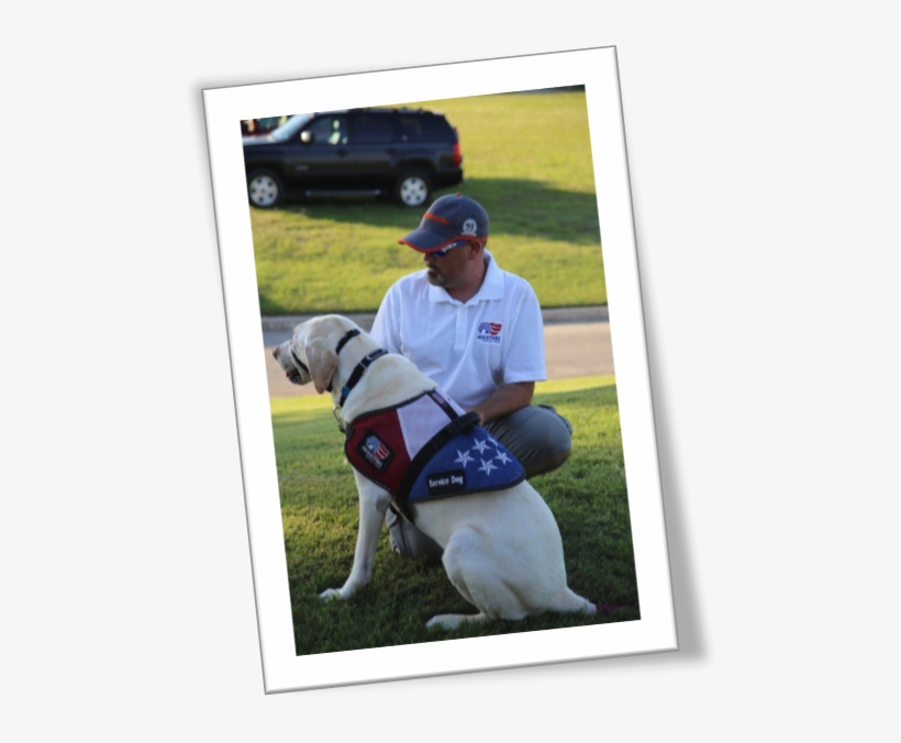 Desert Camo Paracord Bronze Flag Bracelet - Working Dog, transparent png download