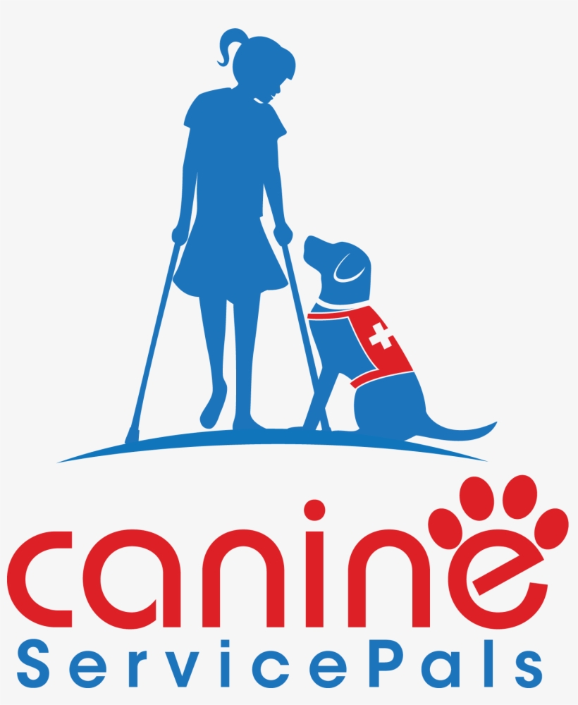 Service Dog Training Pittsburgh Blind Guide Mobility - Sanches Construção E Acabamento, transparent png download