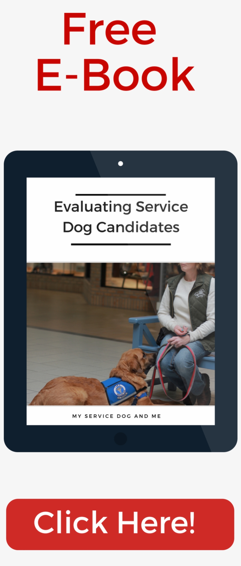 But, Starting With An Older Dog Can Mean Avoiding The - Dog, transparent png download