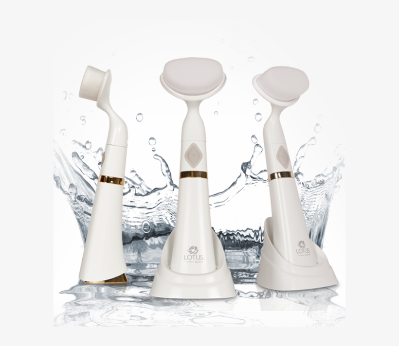 By Applying Your Msm Cream With The Lotus By Dr - Still Life Photography, transparent png download