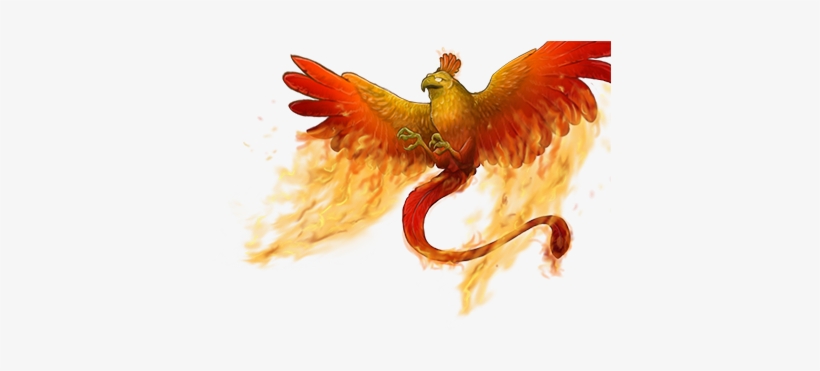 Claw, transparent png download