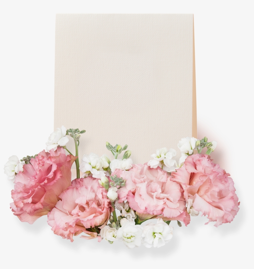 Pink Card Beautiful Flower Decoration Vector - Poster, transparent png download