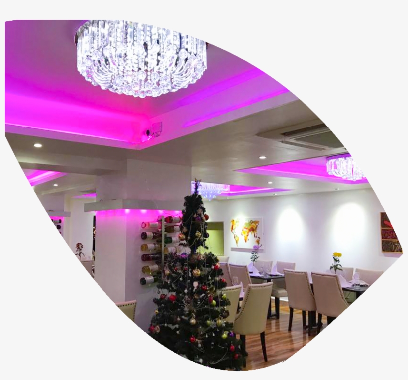 The Coconut Indian Restaurant - Interior Design, transparent png download