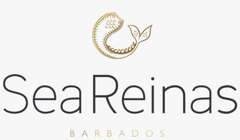 Sea Reinas® Swimwear Official, transparent png download