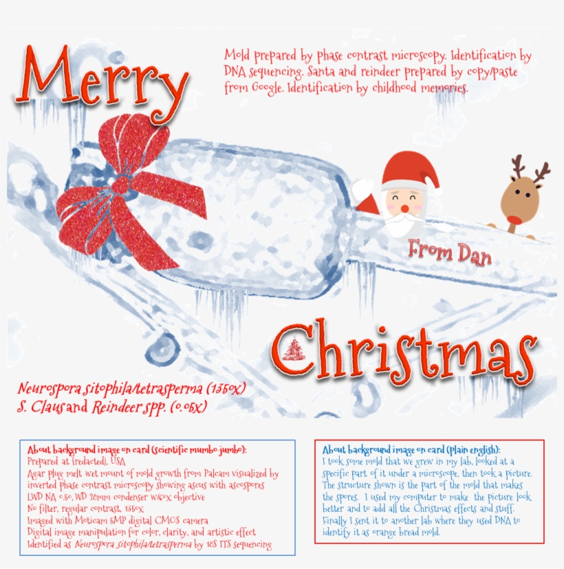 Poster, transparent png download