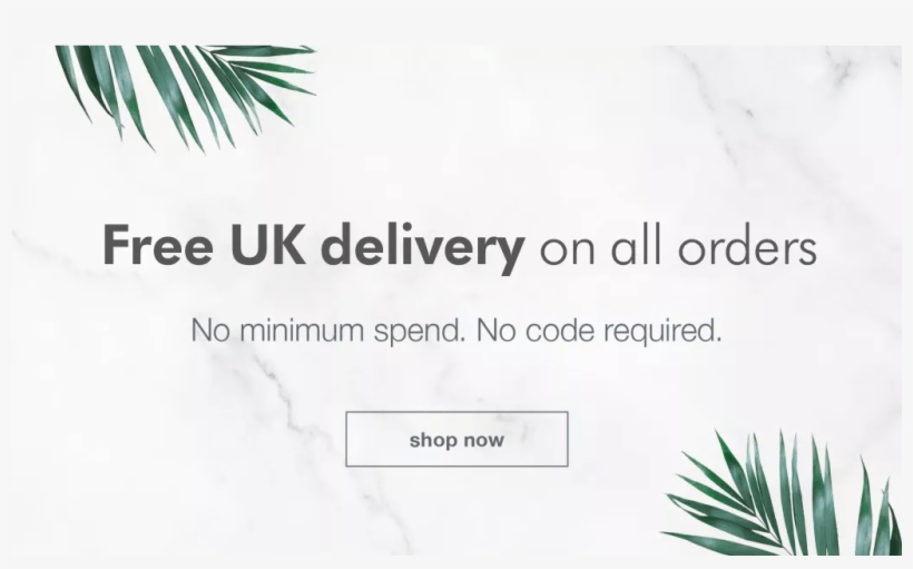 Free Delivery Square - Agave Azul, transparent png download