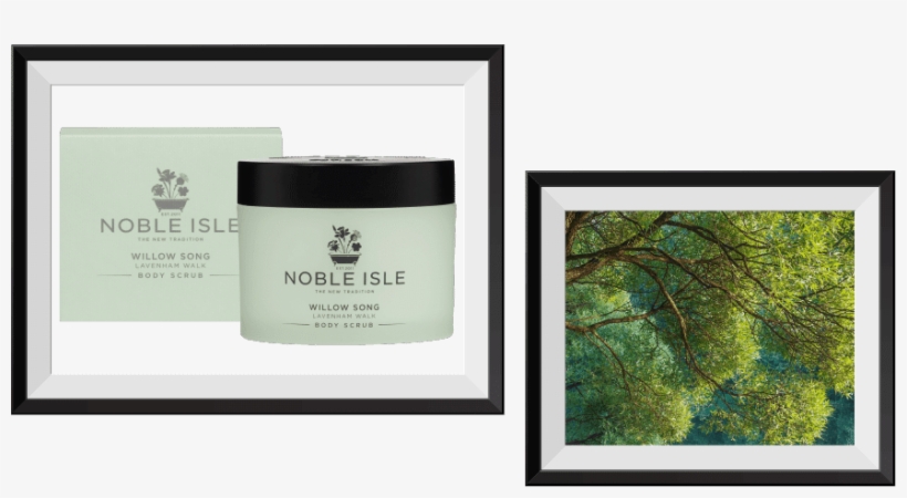 Treat Yourself In Time For All Hallow's Eve With Free - Tree, transparent png download